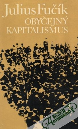 Obal knihy Obyčejný kapitalismus