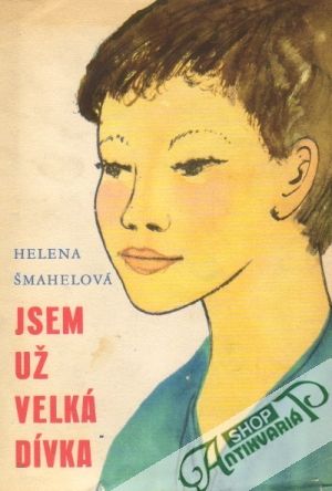 Obal knihy Jsem už velká dívka