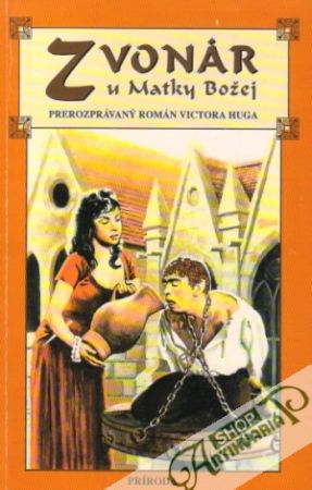 Zvonár u Matky Božej - Kolektív autorov