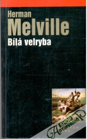 Obal knihy Bílá velryba