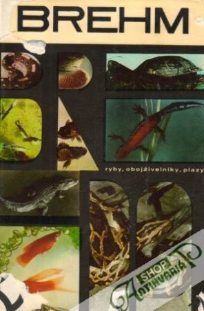 Obal knihy Život zvierat 2. - Ryby, obojživelníky, plazy