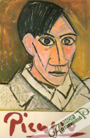 Obal knihy Picasso in der Tschechoslowakei