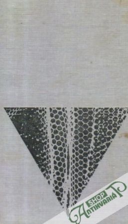 Dona Flor a její dva manželé (bez obalu) - Amado Jorge