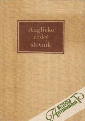 Obal knihy Anglicko - český slovník