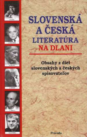 Obal knihy Slovenská a česká literatúra na dlani