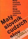 Ivanová-Šalingová Mária - Malý slovník cudzích slov