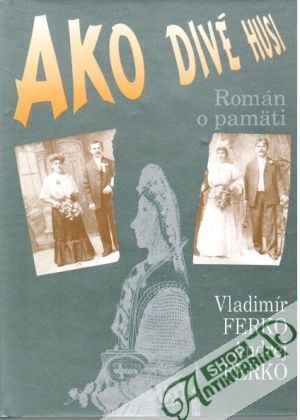 Ako divé husi (román o pamäti) - Ferko Vladimír, Ferko Andrej