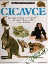 Parker Steve - Cicavce (vidieť, poznať, vedieť)