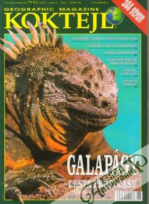 Koktejl 4/2000 - Kolektív autorov