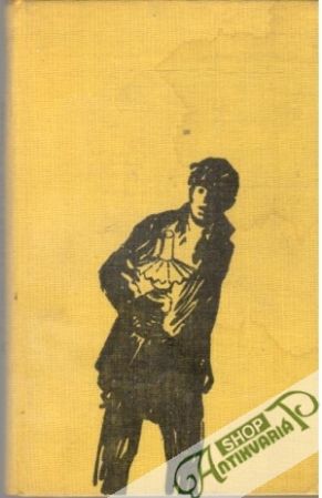 Príbeh pána Pollyho - Wells Herbert George