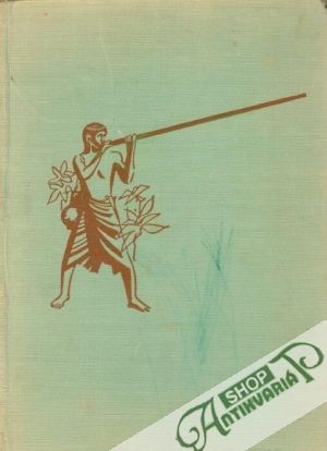 Obal knihy Za lovcami lebiek