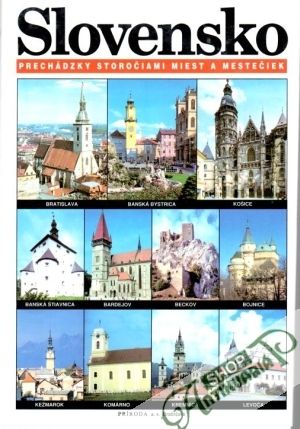 Obal knihy Slovensko (prechádzky storočiami miest a mestečiek)