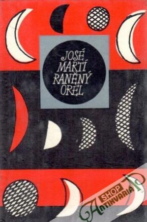 Obal knihy Raněný orel