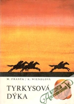 Obal knihy Tyrkysová dýka