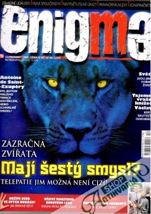 Enigma 12/2008 - Kolektív autorov