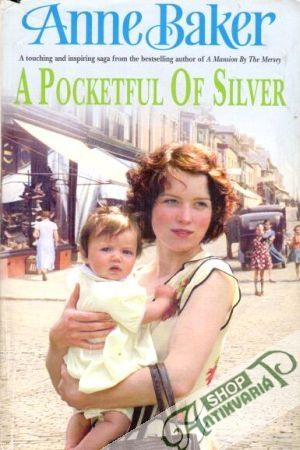 A pocketful of silver - Anne Baker