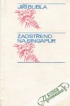 Bubla Jiří - Zaostřeno na Singapur