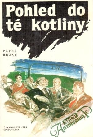 Obal knihy Pohled do té kotliny