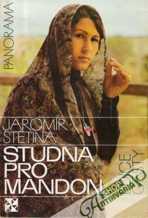 Studna pro Mandon - Štětina Jaromír