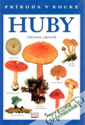 Obal knihy Huby (príroda v kocke)