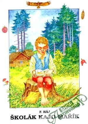 Obal knihy Školák Kajo Mařík