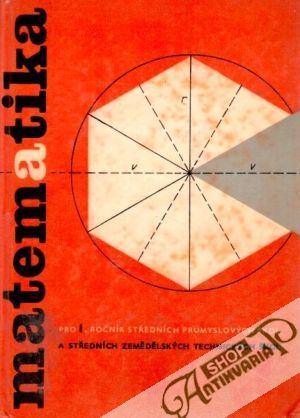 Matematika - Kriegelstein E., Vyšín Jan