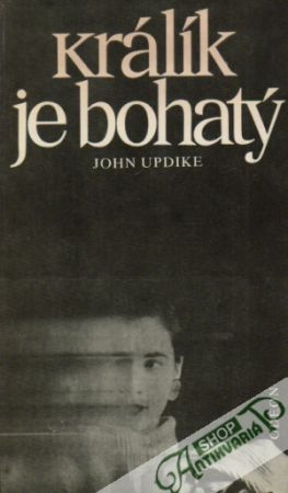 Králík je bohatý - Updike John