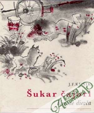Obal knihy Šukar Čajori (Krásne dievča)