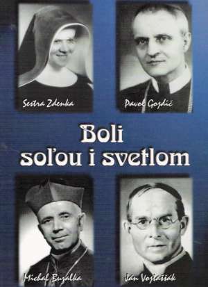 Obal knihy Boli soľou i svetlom