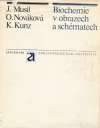 Musil Jan a kolektív - Biochemie v obrazech a schématech