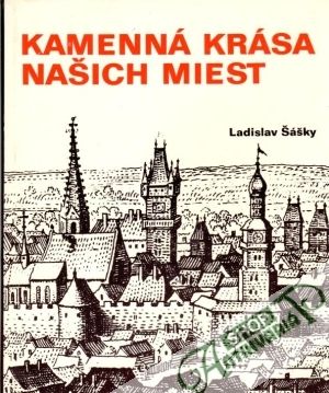 Obal knihy Kamenná krása našich miest