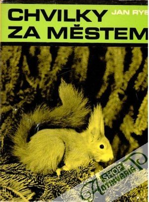 Chviky za městem - Rys Jan