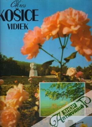 Obal knihy Okres Košice vidiek