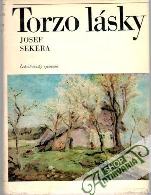 Obal knihy Torzo lásky