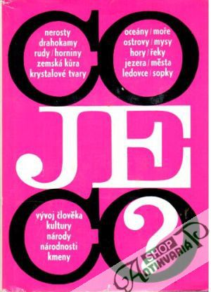 Co je co? 2. - Reisenauer Roman