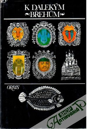 K dalekým břehům - Holeček Milan