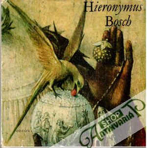 Obal knihy Hieronymus Bosch