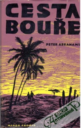 Cesta bouře - Abrahams Peter