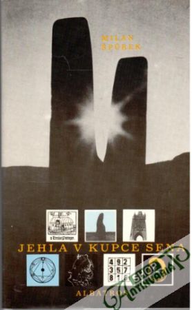 Jehla v kupce sena - Špůrek Milan