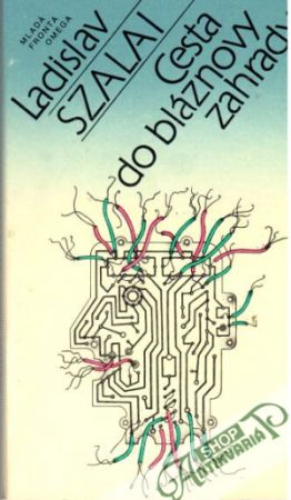 Cesta do bláznovy zahrady - Szalai Ladislav