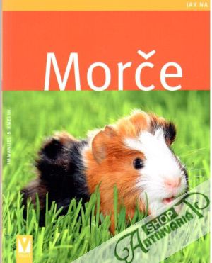 Morče - jak na to - Birmelin Immanuel