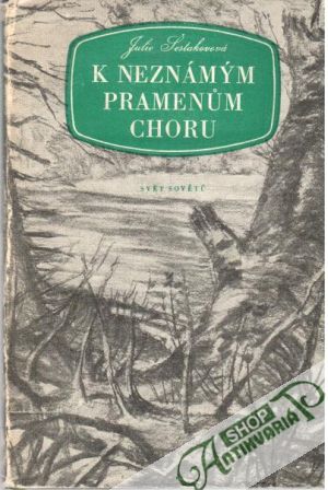 K neznámým pramenům Choru - Šestakovová Julie