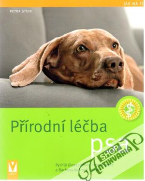 Přírodní léčba psa - Stein Petra