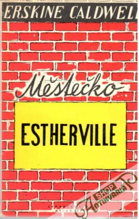 Obal knihy Městečko Estherville