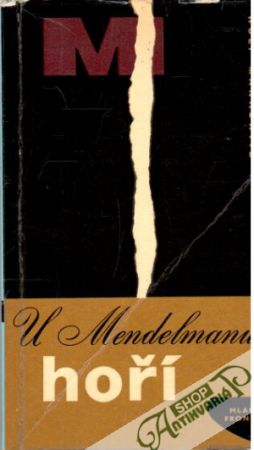 Obal knihy U Mendelmanů hoří