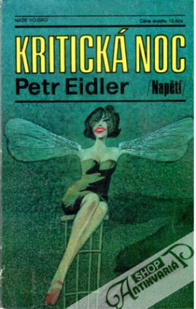 Kritická noc - Eidler Petr