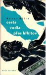 Nilin Pavel - Cesta vedla přes hřbitov