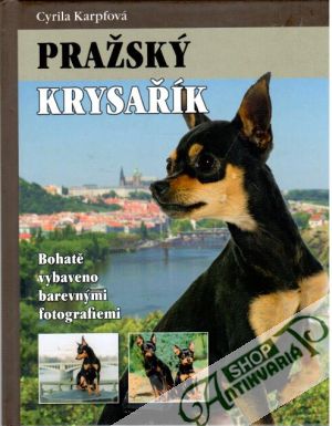 Pražský krysařík - Karpfová Cyrila