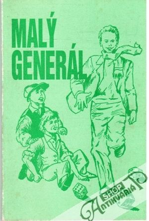 Obal knihy Malý generál