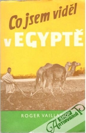 Obal knihy Co jsem viděl v Egyptě